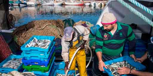 El sector pesquero se opone al control horario